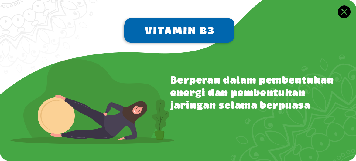 Vitamin B3