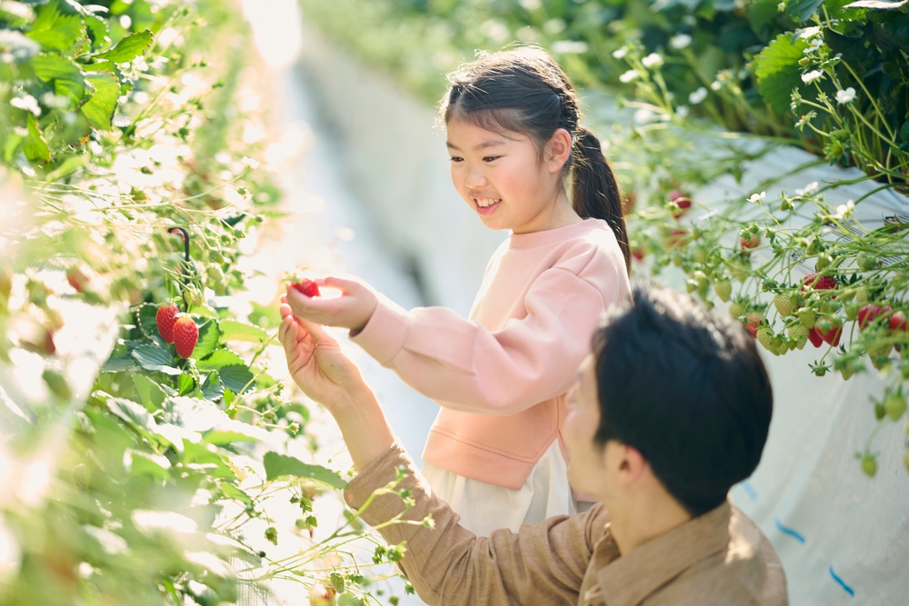13 Buah yang Mengandung Kalsium yang Dibutuhkan Si Kecil