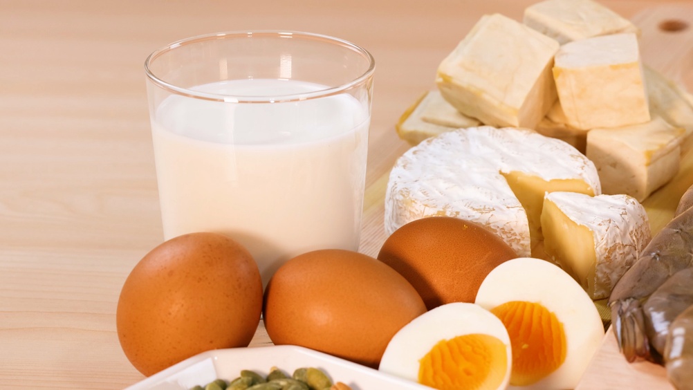 Kenali Manfaat dan Sumber Protein Hewani untuk Anak