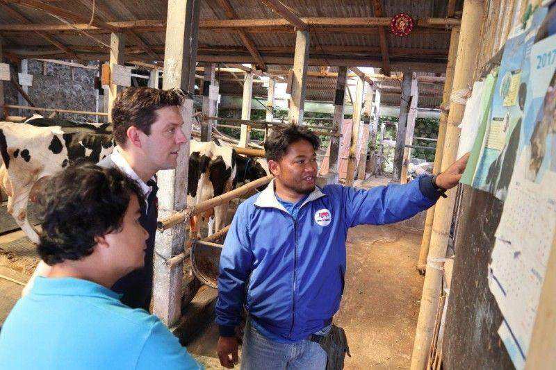 Frisian Flag Indonesia Perkuat Program Farmer2Farmer  dengan Memperluas Jangkauan dan Ilmu Manajemen Bisnis