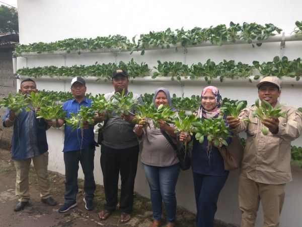 Penghijauan dan Kemandirian Ekonomi Warga Melalui Budidaya Hidroponik