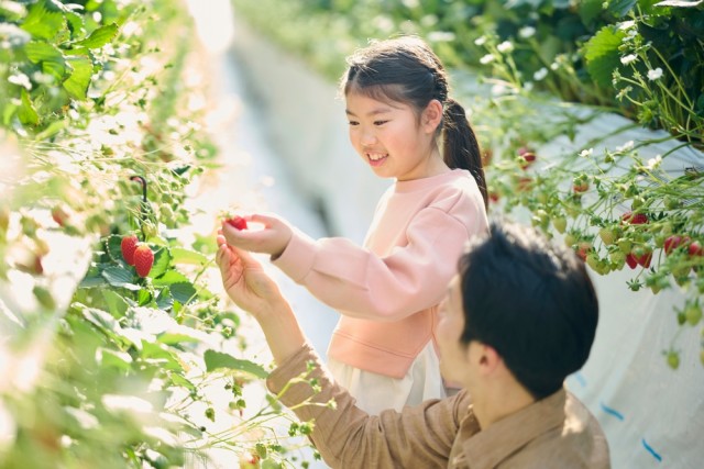 13 Buah yang Mengandung Kalsium yang Dibutuhkan Si Kecil