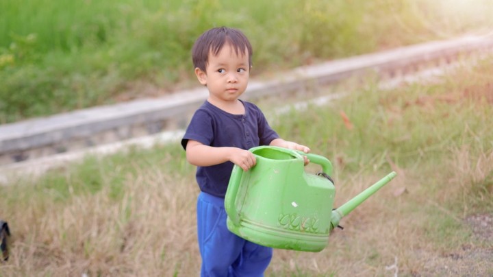 Kecerdasan Naturalis Anak: Ciri dan Cara Mengembangkannya