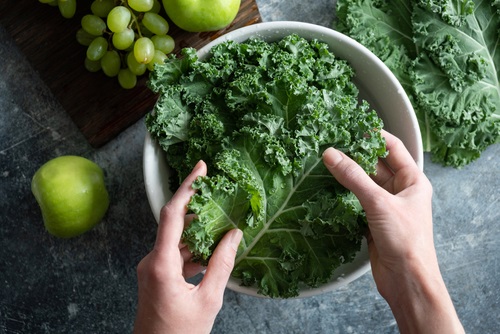 Kale - Frisian Flag