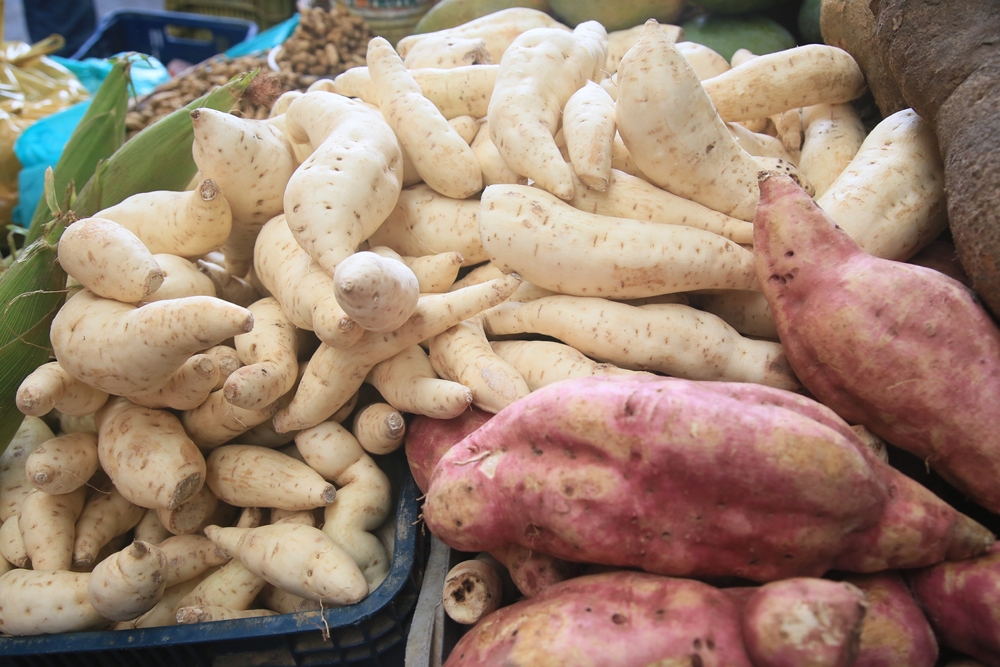 makanan pengganti nasi: umbi-umbian dan tepung